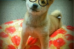 Leyu Sport登录入口-五大联赛争四大战是否比争冠更为激烈，五大联赛还是四大联赛