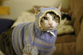 乐鱼体育登录-澳大利亚队未来突破：如何在亚洲赛场争取更多荣誉，澳大利亚队12强赛大名单