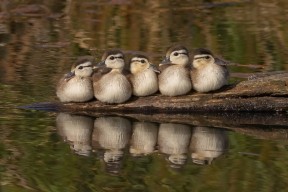 LEYU SPORTS中国官方网站-国家体育总局发布全国赛事内容版权归属建议书，体育赛事 版权