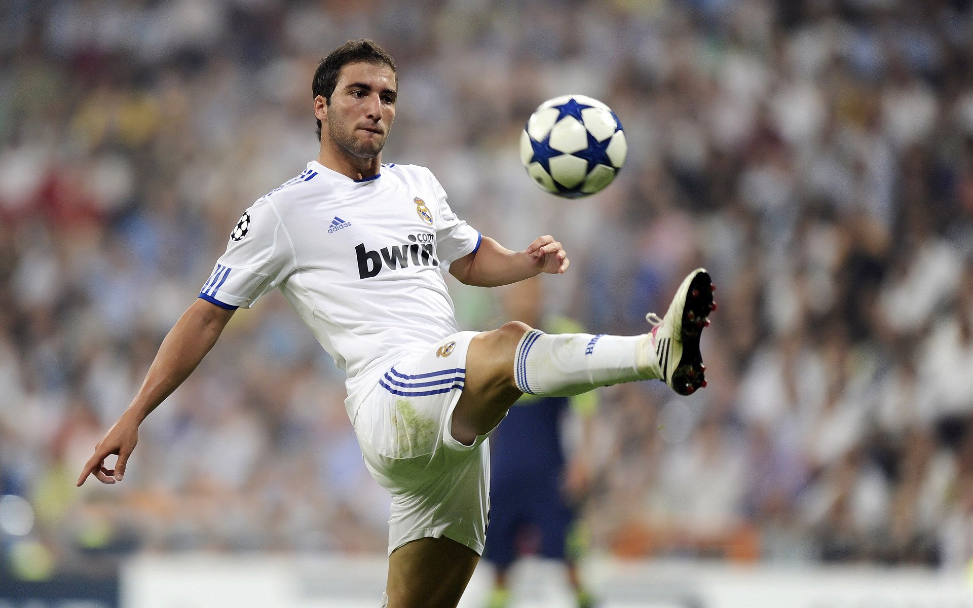 五大联赛球迷文化对球队士气的实际作用，球队文化的几要素