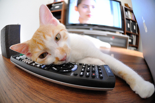 利物浦经典高压再次上演,利物浦right to play