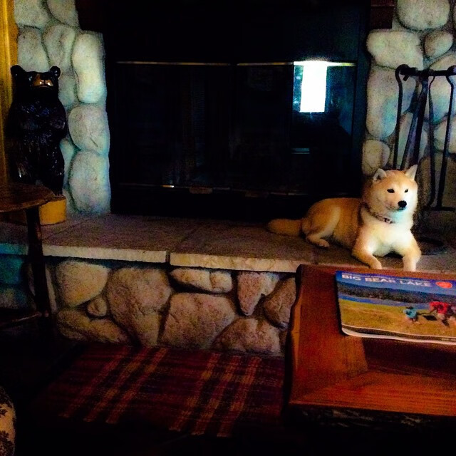 季后赛为何节奏明显下降,季后赛结束后是什么比赛