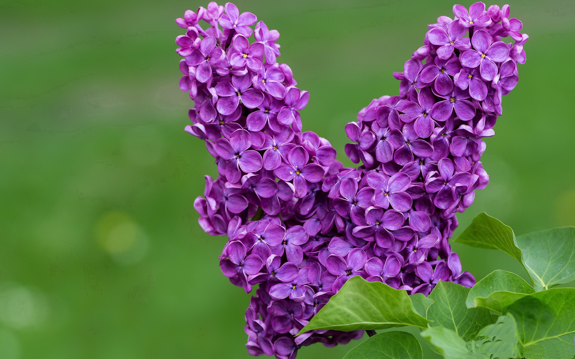 辽宁飞豹借助心理辅导保持队员专注度