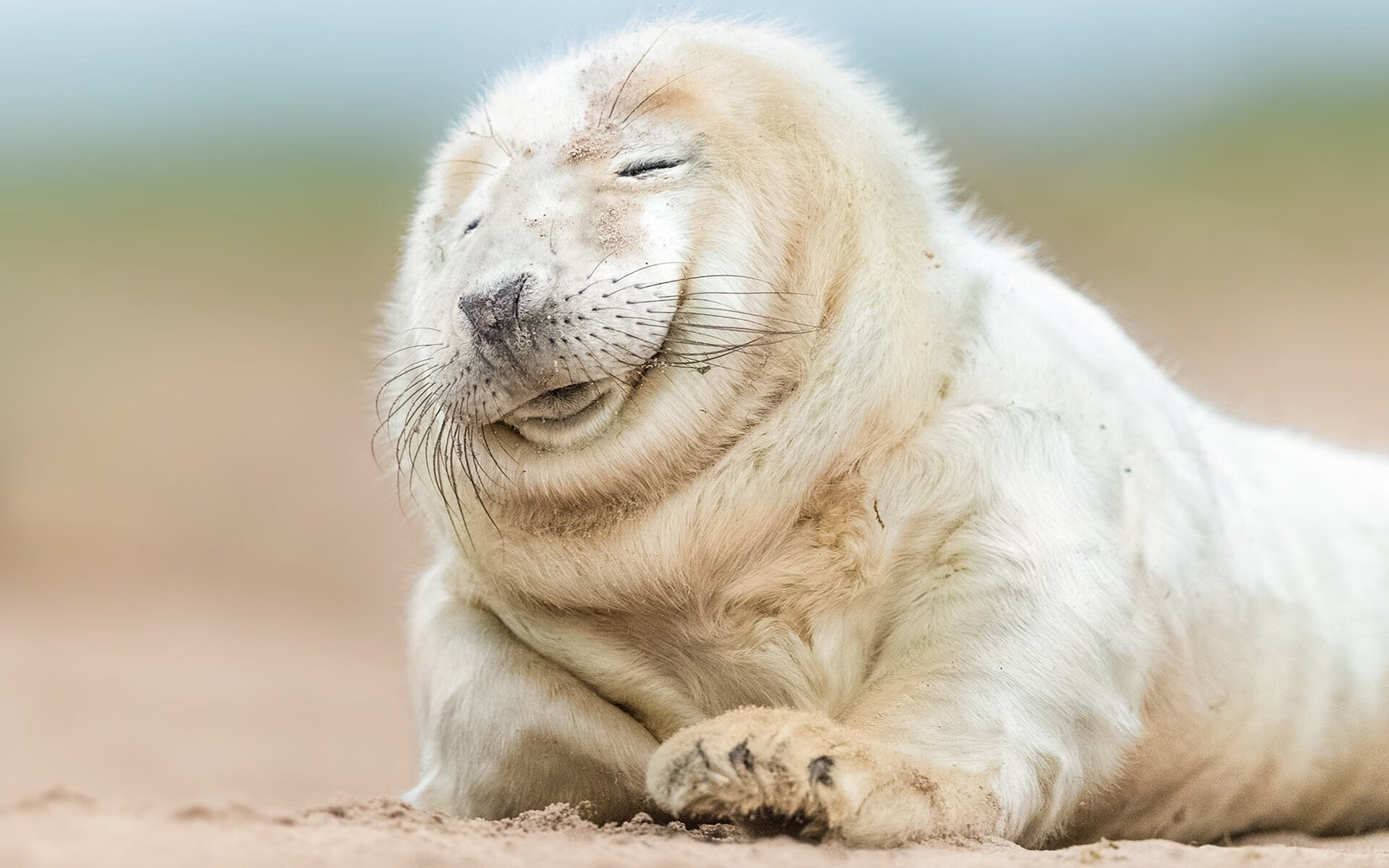 顶级中锋在挡拆战术中的使用方式,中锋挡拆顺下技巧