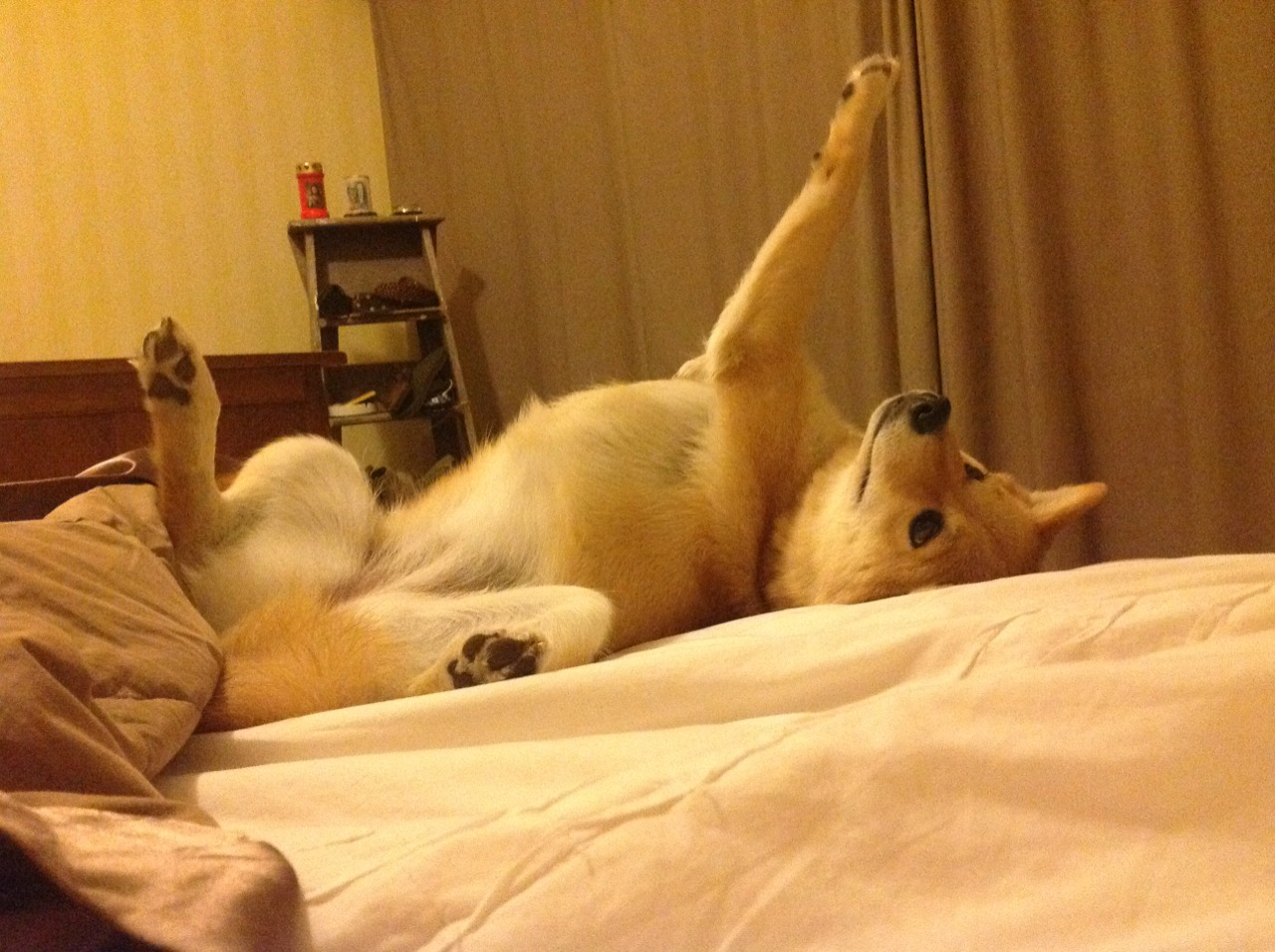 中国足球俱乐部深化与海外足球青训合作协议,海外足球俱乐部中国老板