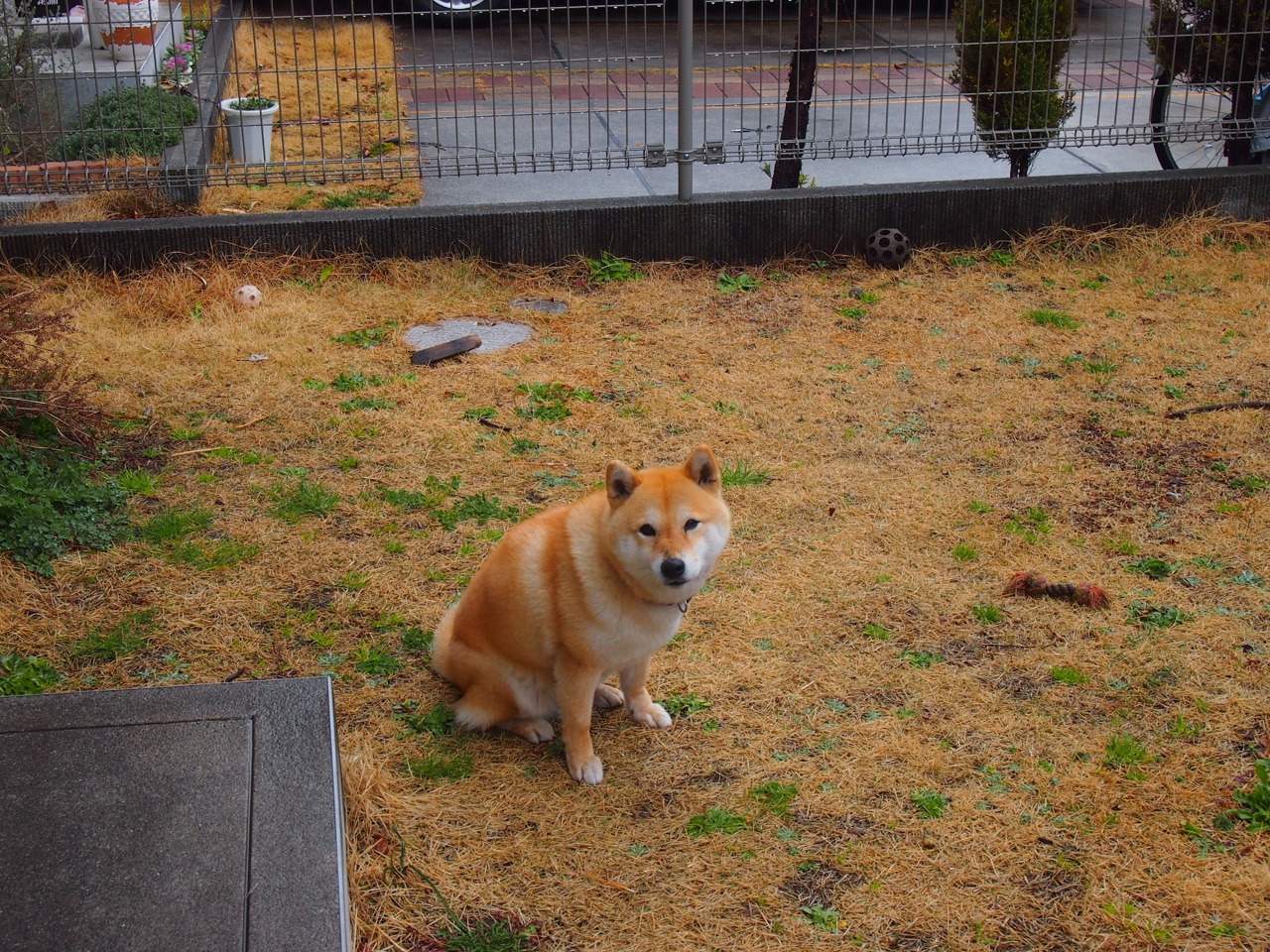 中超球队主教练任命频繁揭示管理混乱深层问题，2021年中超各队主教练年龄