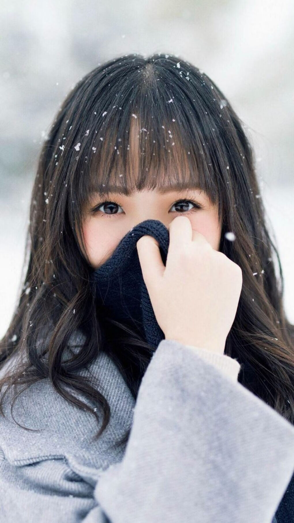 乔·波尔曼的全能表现使袋鼠队在橄榄球锦标赛中名列前茅,乔伯罗橄榄球