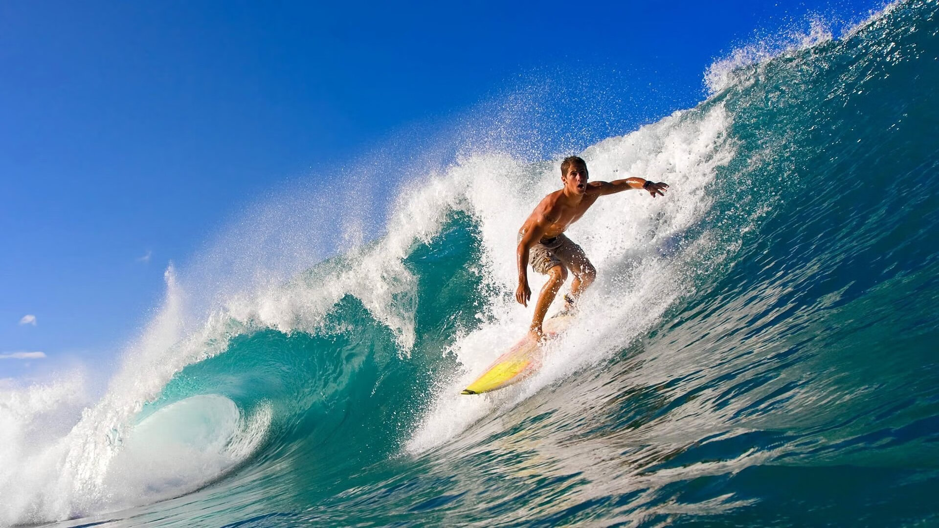 女子排球联赛积分榜形势突变,女子排球联赛排名
