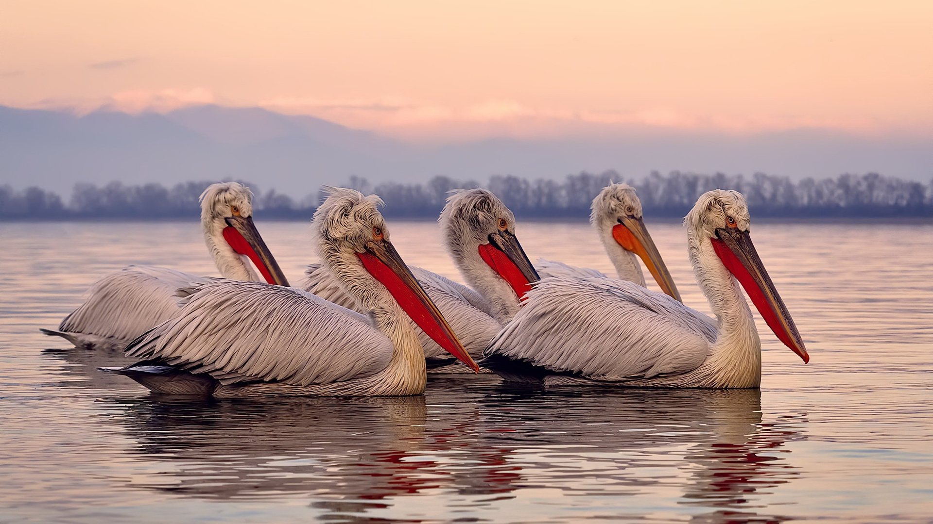 李冰洁对决奥卡拉汉 全程紧咬不放,李冰洁奥运会参赛项目