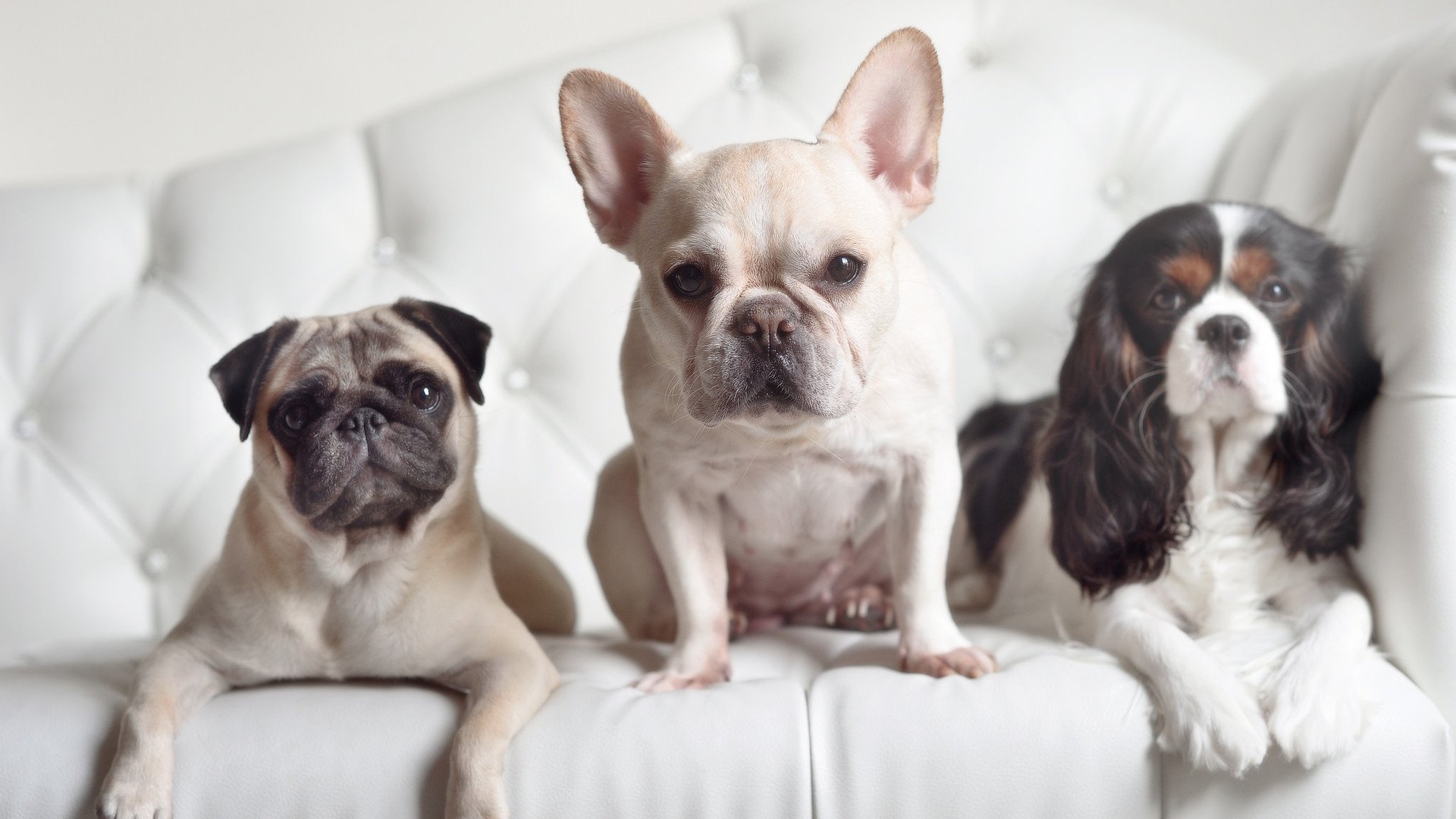 线上足球知识竞赛吸引大量青少年参与,普及足球知识,线上足球活动