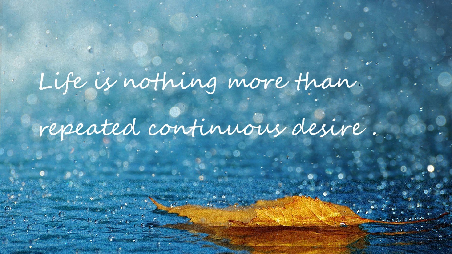 线上足球知识竞赛吸引大量青少年参与,普及足球知识,线上足球活动