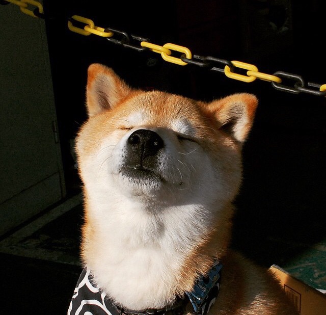 Morales 多次关键接球引爆现场,接球技术有哪几个环节构成