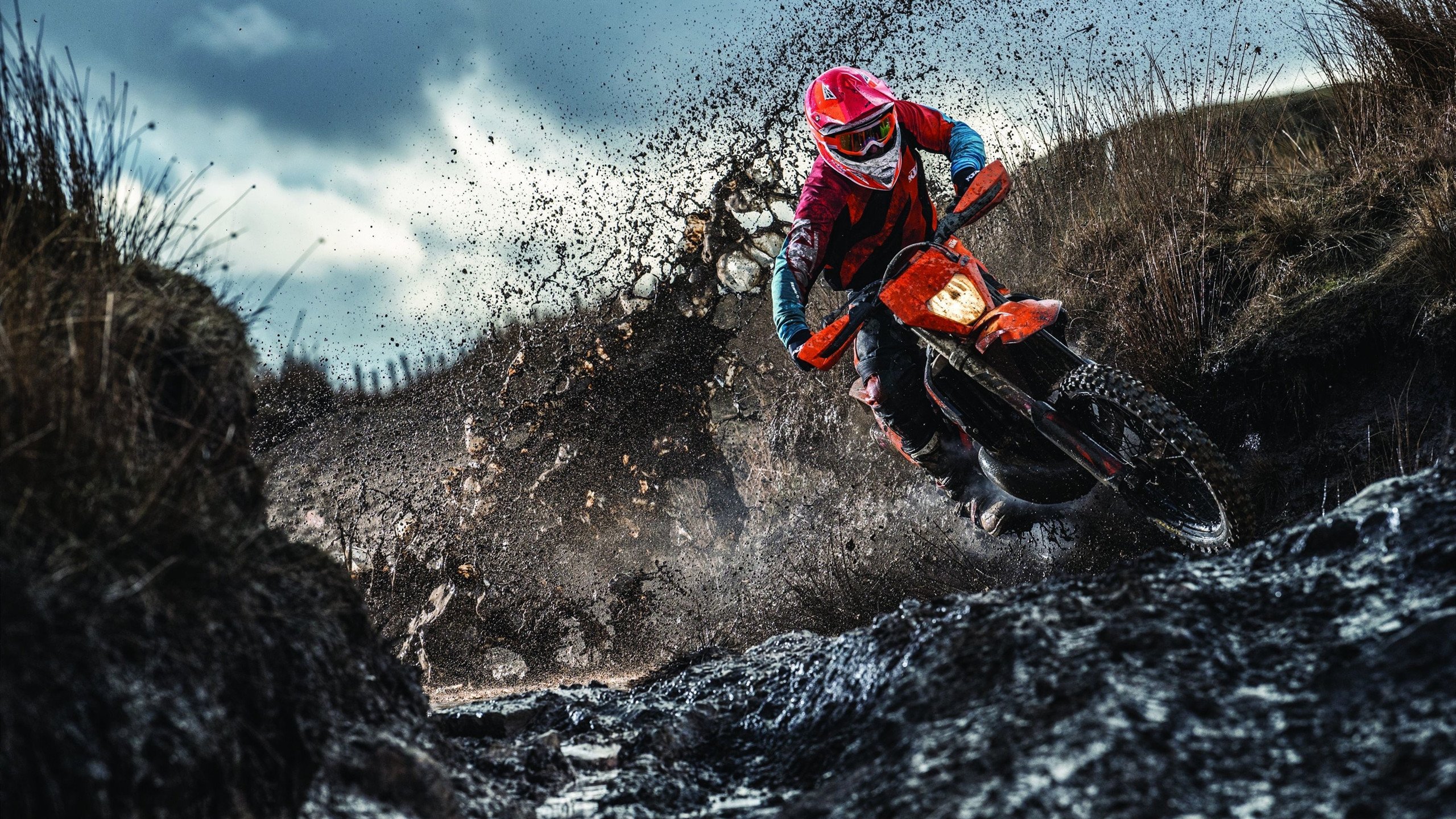 张伟丽完成绝杀格斗冠军赛，张伟丽完成绝杀格斗冠军赛了吗